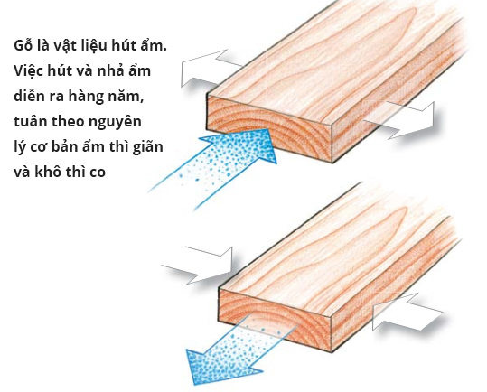 Tính chất vật lý của sự co giãn của pallet gỗ trong môi trường nóng và lạnh
